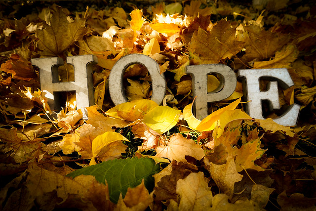 29863962483_562ceffb39_z