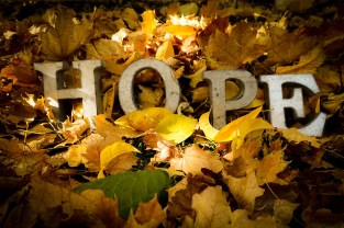 29863962483_562ceffb39_z